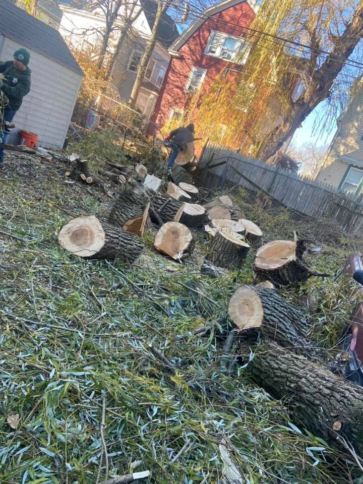 Boston Landscaping and Lawn Specialist