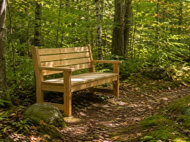 A simple wooden bench beside a moss-covered stone wall along a soft woodland path