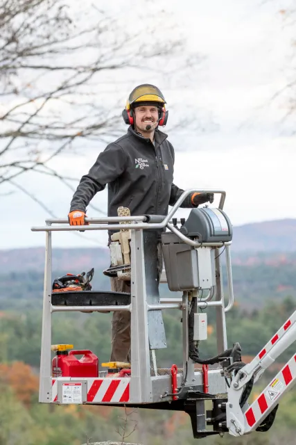 work photo from newenglandtreeservice.com