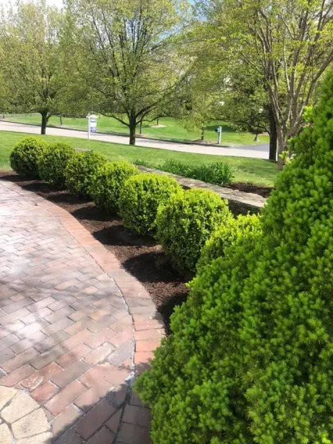 work photo from yardscapesbyrenee.com