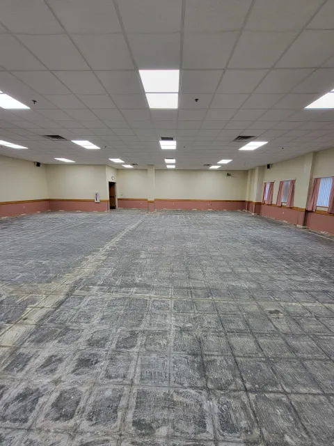 Empty large room with a worn carpet, beige walls with pink trim, ceiling tiles, and multiple windows covered with pink curtains.