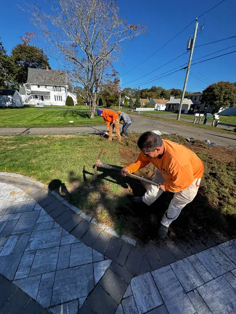 JJBM Landscaping & Tree Removal, LLC work photo
