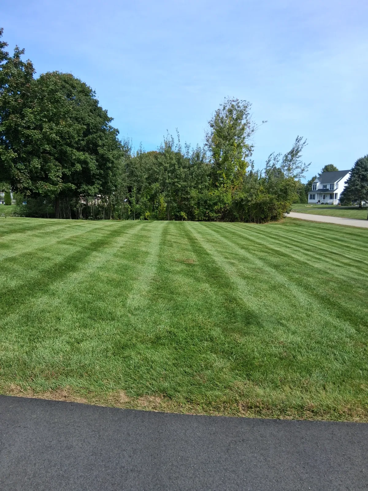 work photo from ekennedylandscaping.com