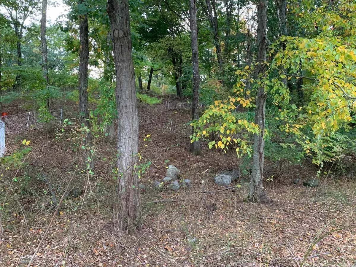 After - Sherborn, MA