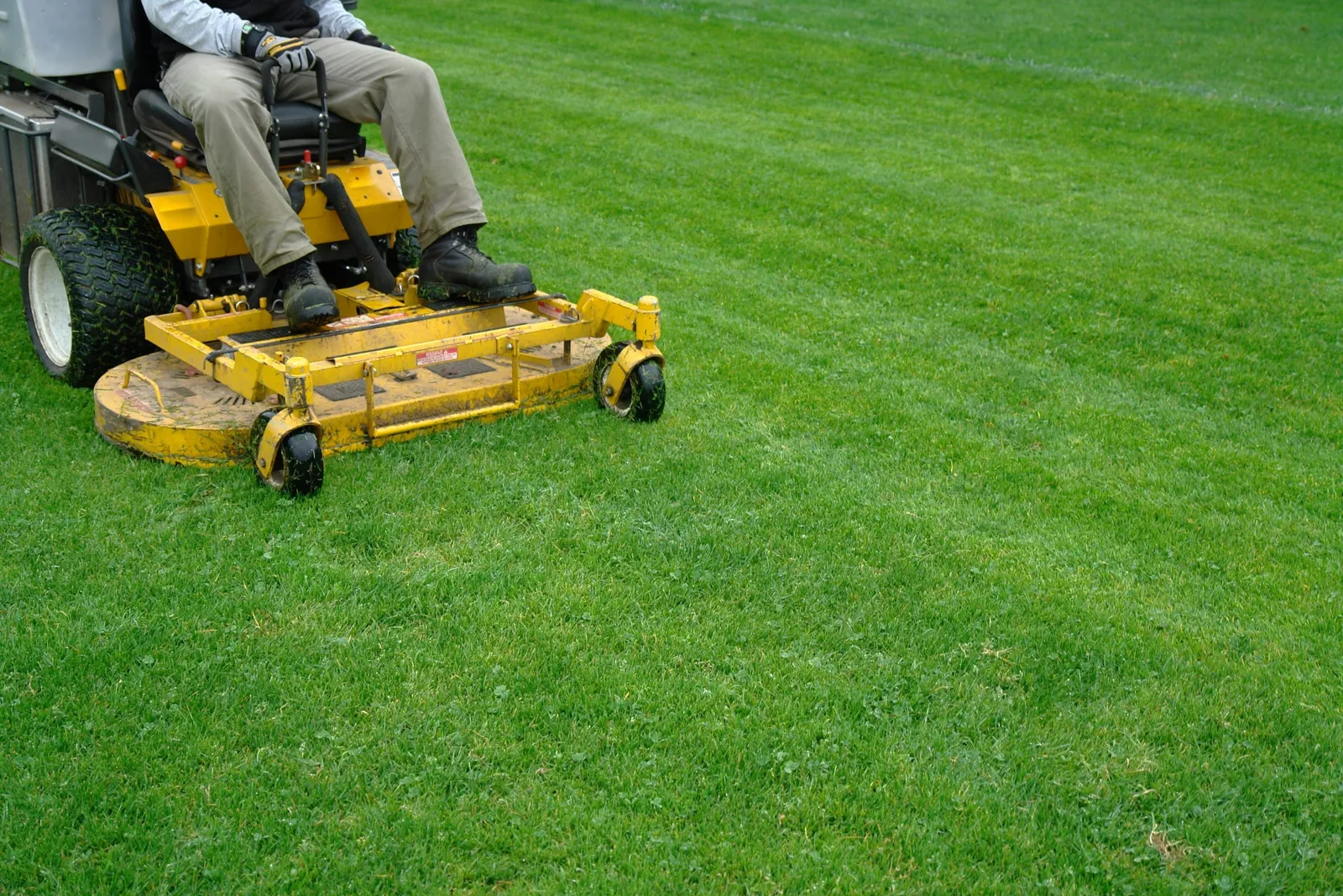 Lawns