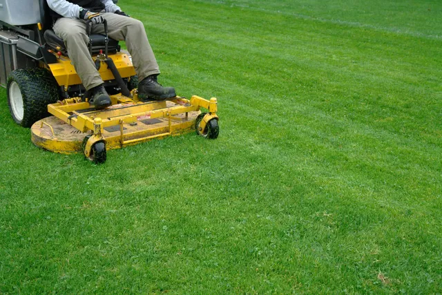 Lawns