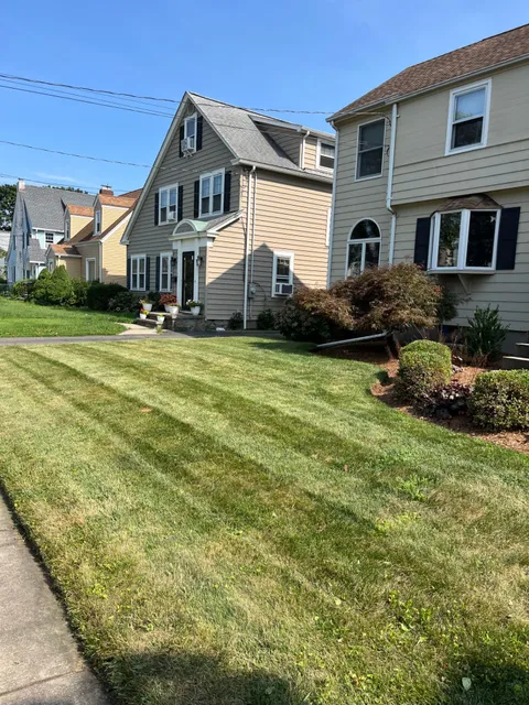 Manicured striped front lawn with mulched bed, Japanese maple and shrubs