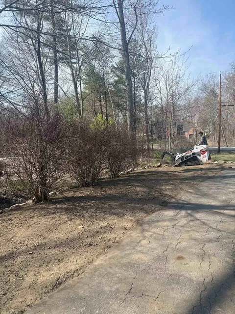 Leafless trees and bushes beside a cracked path, with a parked small white vehicle in the distance.