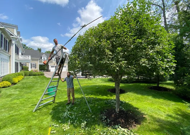 work photo from evergreenlawnandlandscape.com