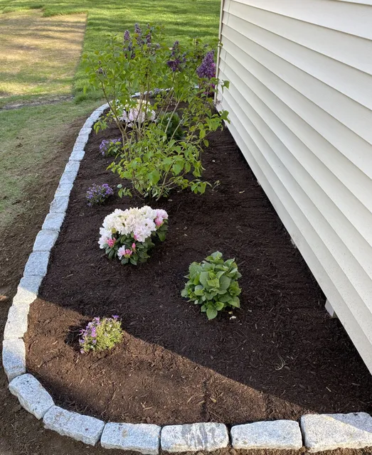 work photo from plantdesigntherapy.com