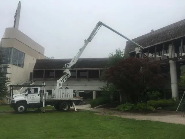 work photo from sandovaltreeservice.com