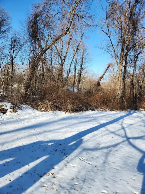 Snow-covered path beside leafless trees casting long shadows in bright winter sunlight