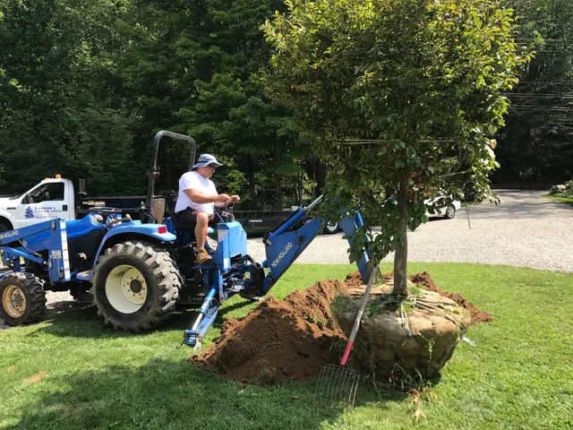 Labriola Landscaping, LLC work photo