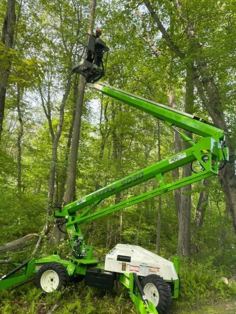 A green cherry picker lifting a person in a wooded area.