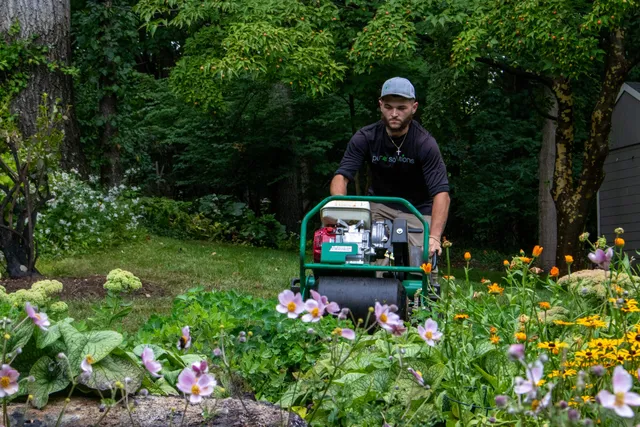 Pure Tree Service Weston. work photo