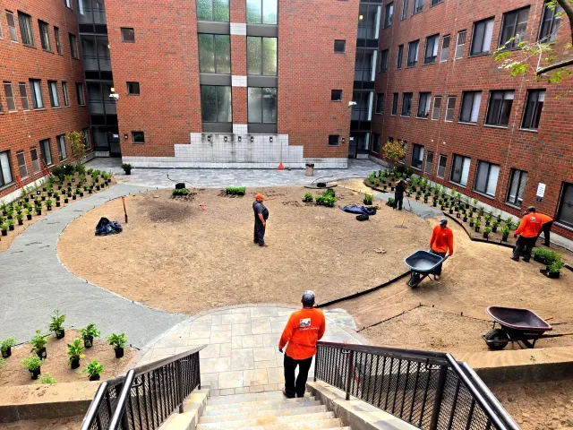 Cunniff Landscape work photo
