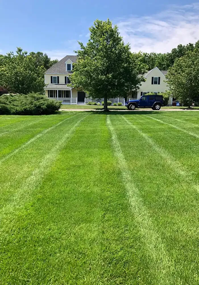 Lawn Maintenance