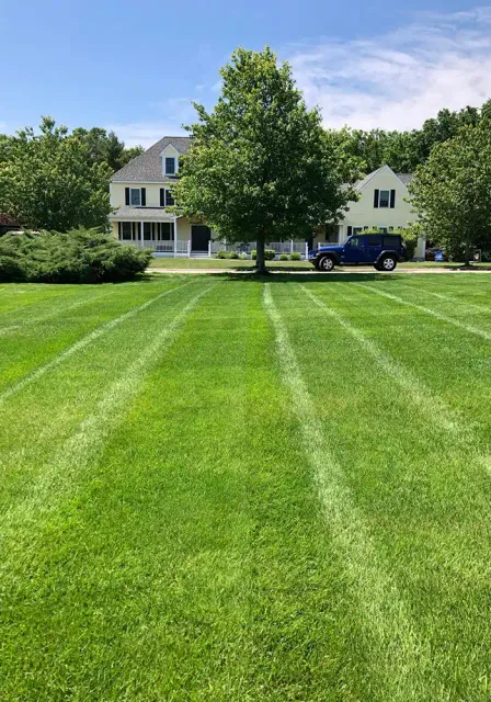 Lawn Maintenance