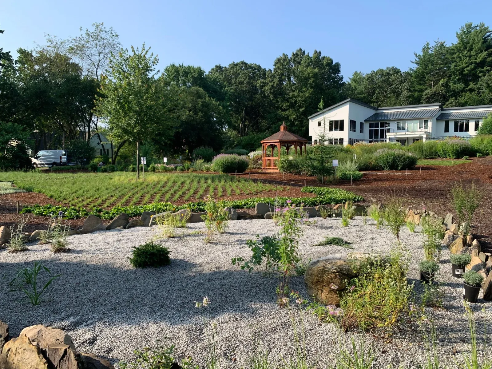 gravel garden1.jpg