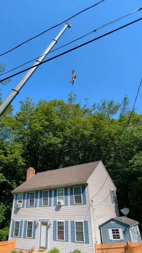 A to Z Tree Service work photo