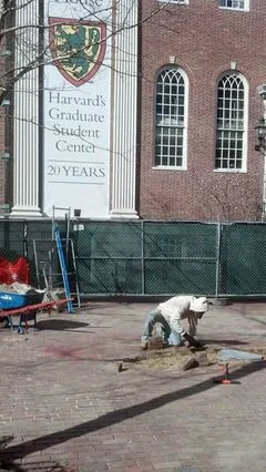 harvard-university-flatwork-repair.jpg