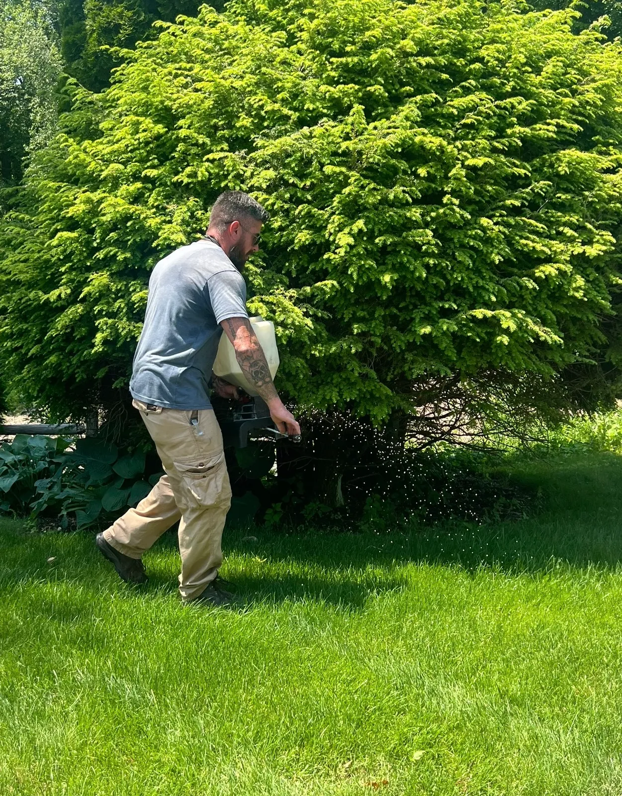 work photo from Google listing