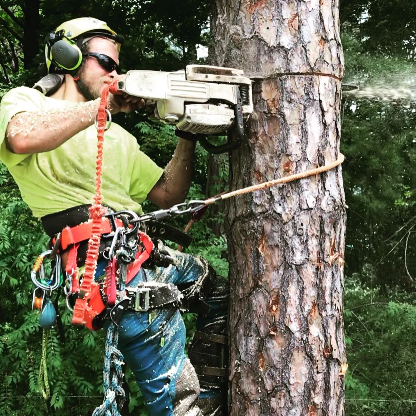 work photo from Google listing