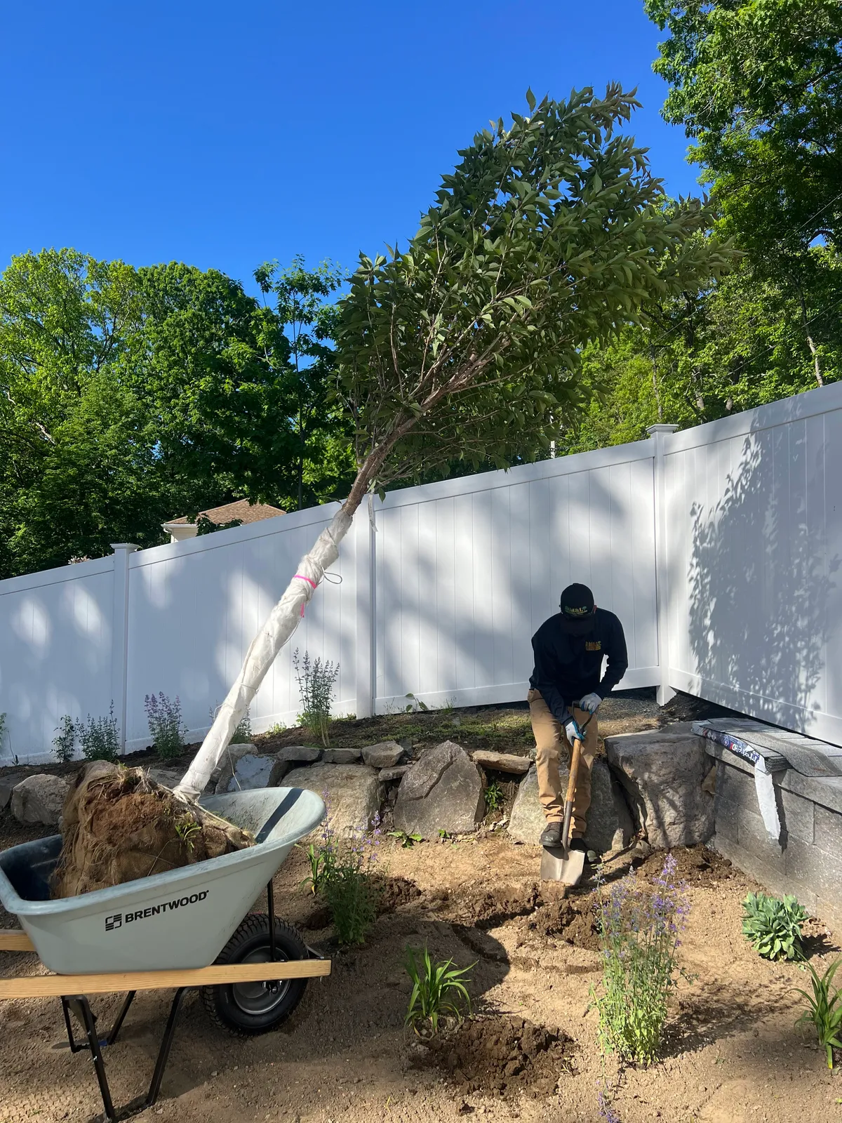 work photo from Google listing