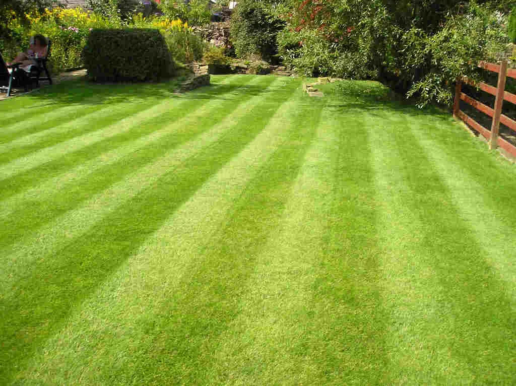 AZ-U-MAK-IT Lawn Care researched project photo