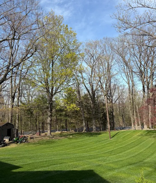 Green Top Turf LLC work photo