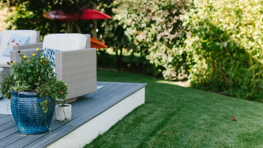 Five Habits That Make Organic Lawns Successful