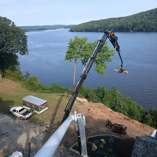 work photo from thetreeco.co