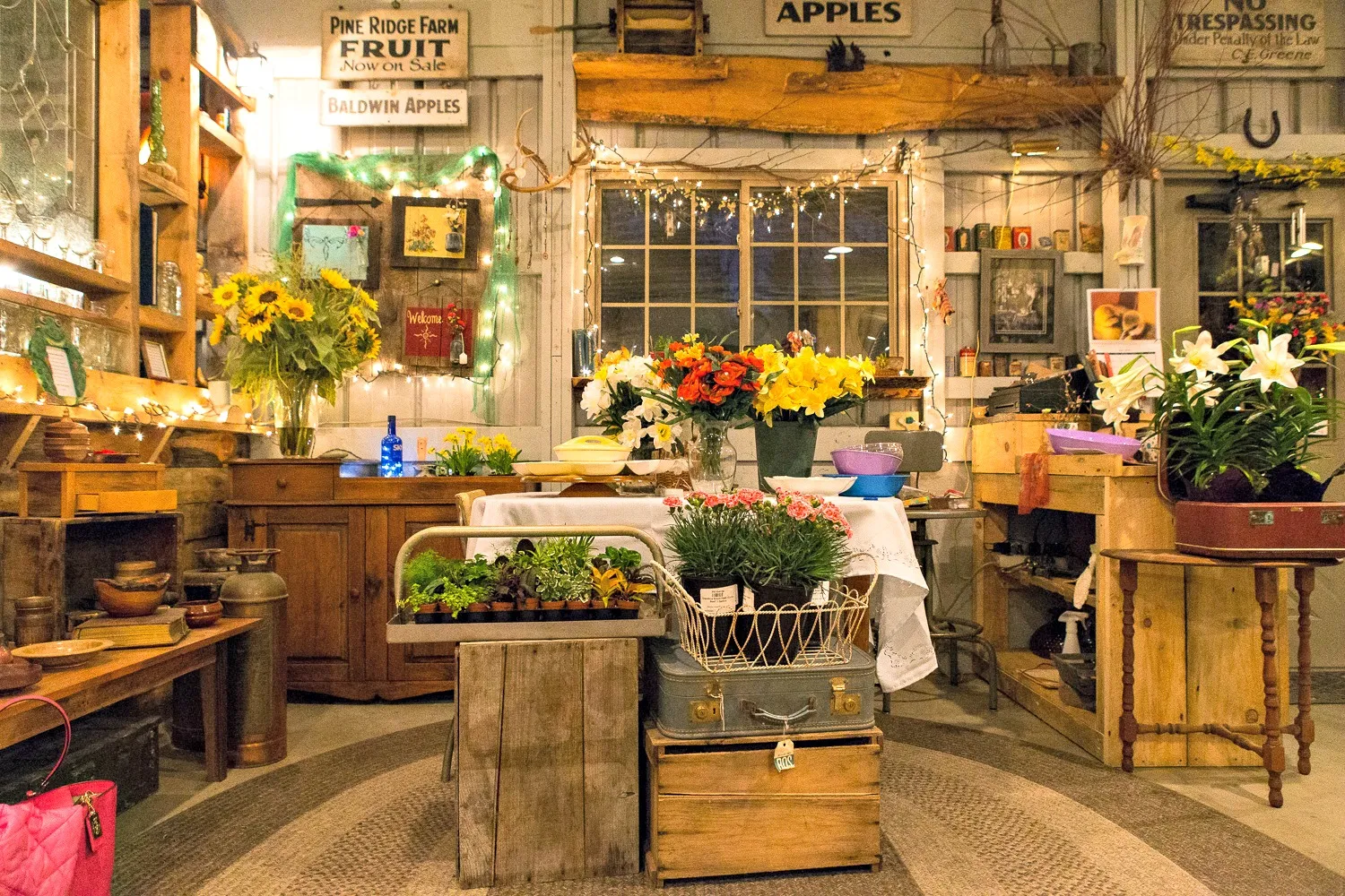 Pine Ridge Farm - Boylston Ma