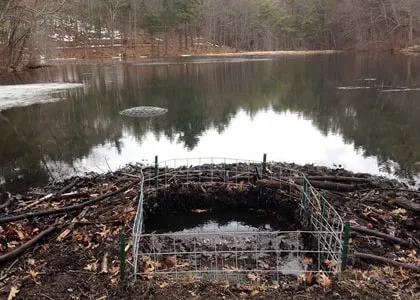 Beaver Solutions - flow management devices, beaver products, beaver problems, beaver removal, beaver control methods, beaver control devices, beaver pond leveler, how to get rid of beavers