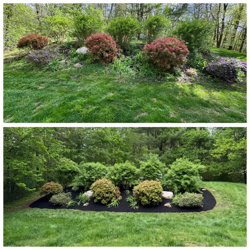 Garden Designs