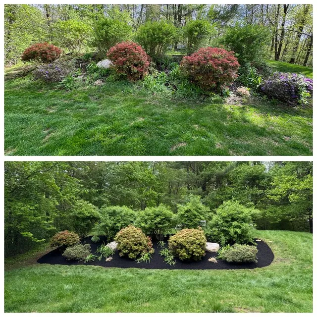 Garden Designs