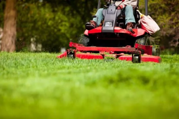 Lawn Care Starter Kit