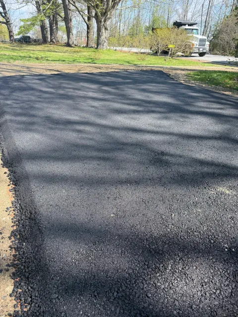 Freshly paved black asphalt driveway in a residential neighborhood with trees and bushes in the background.