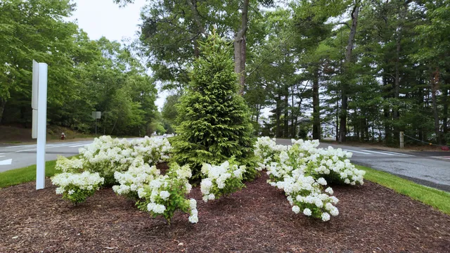 work photo from eganlandscapegroup.com