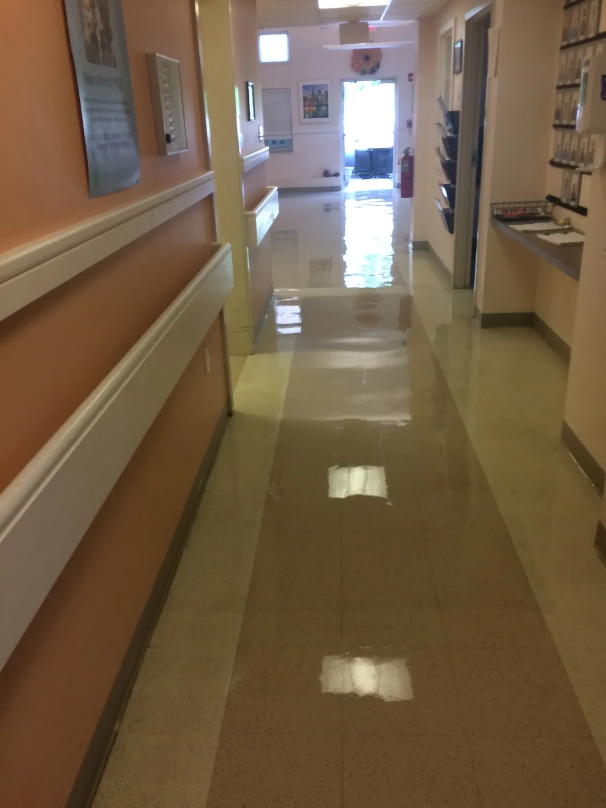Boston Green Commercial Cleaners & JaMa Professional Cleaning