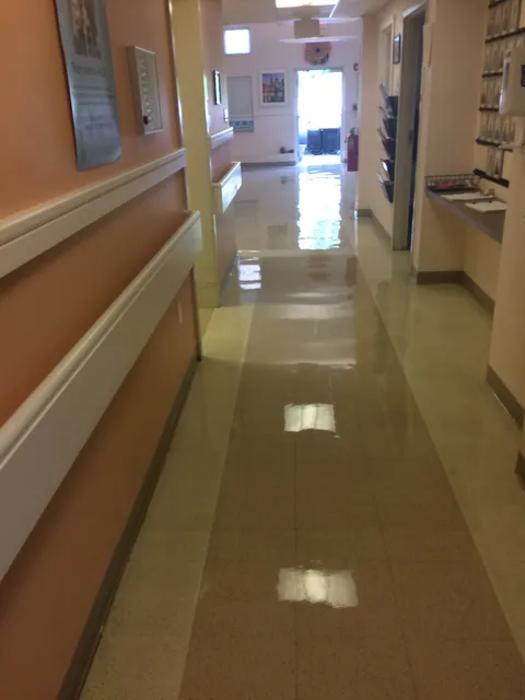 Boston Green Commercial Cleaners & JaMa Professional Cleaning
