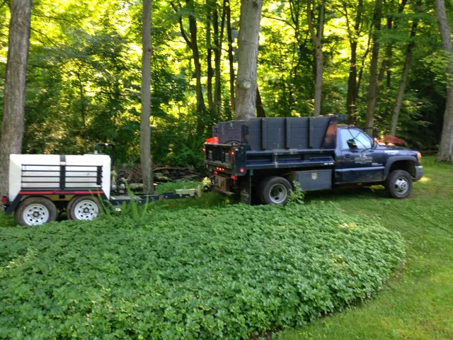 CT Lawn & Landscape, Inc. work photo