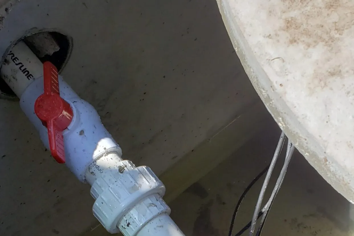 work photo from dibuonodraincleaning.com