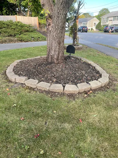Review photo by Carol