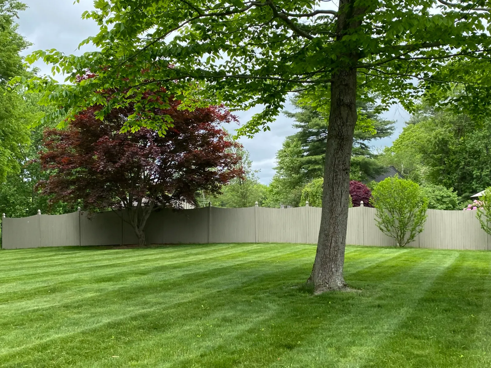 Backyard with green lawn, trees, and a wooden fence.