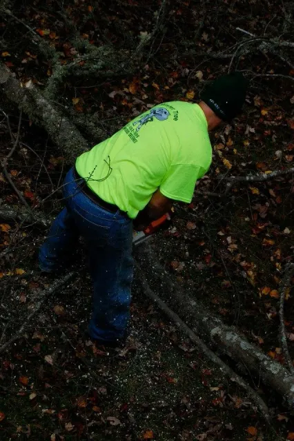 A man wearing a neon yellow shirt and black beanie cutting a fallen tree branch with a chainsaw in a wooded area, with leaves and debris on the ground.