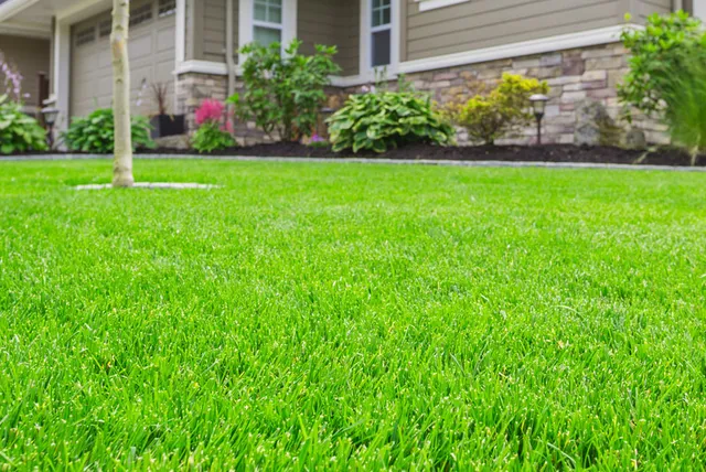Four Paws Lawn Care work photo