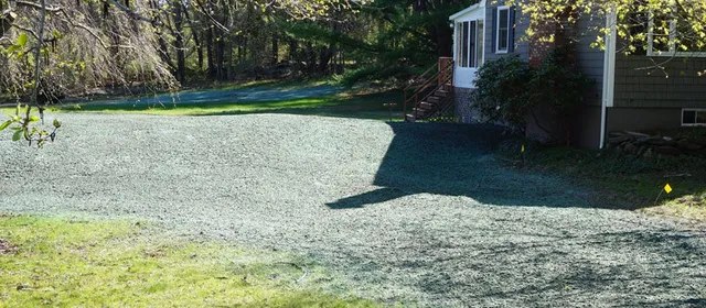 A house with grass growing in the yard
