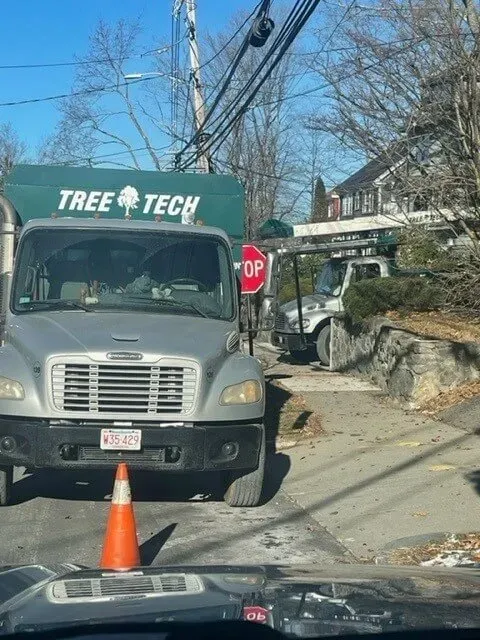 work photo from treetechinc.net