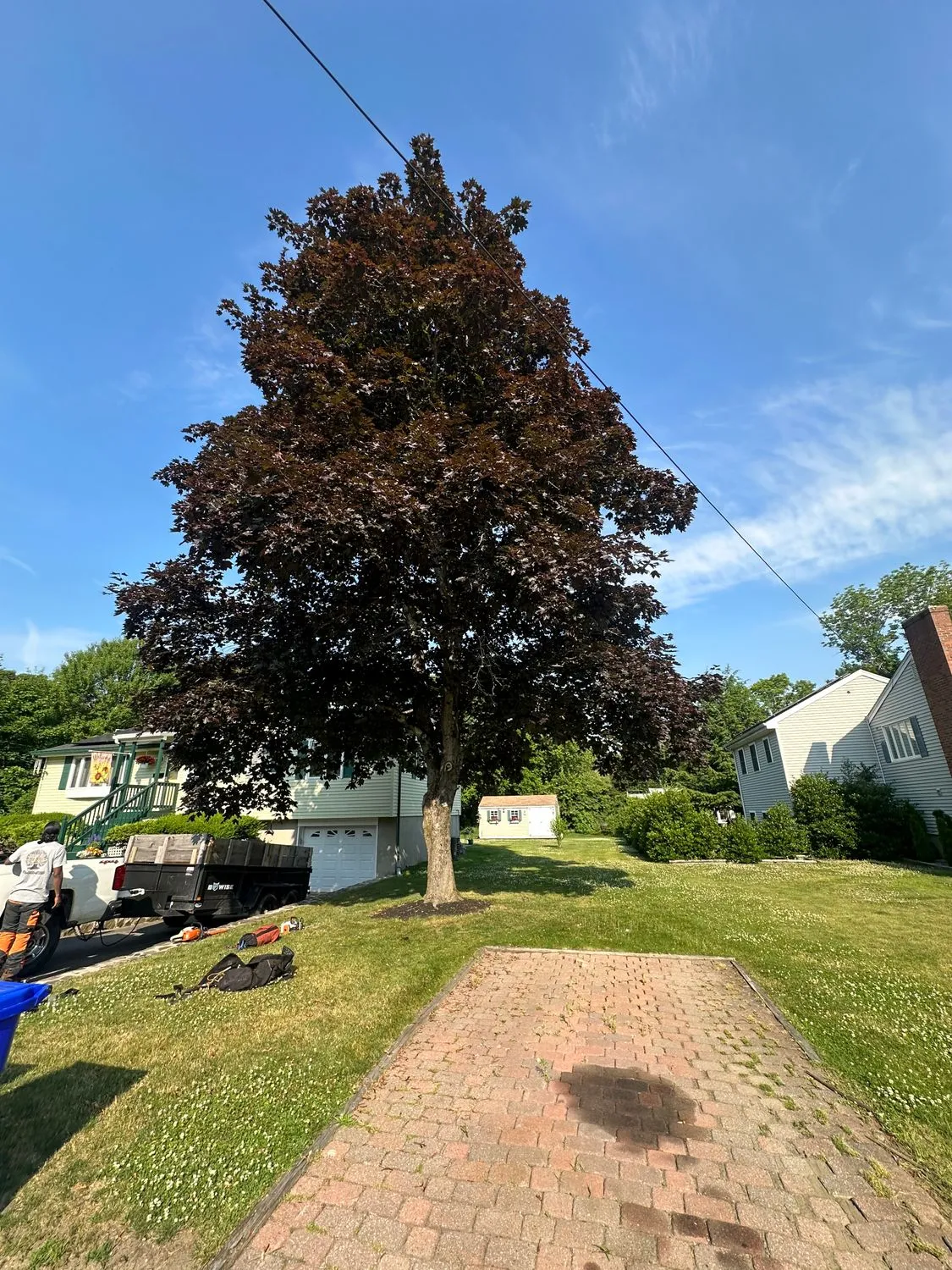 work photo from Google listing